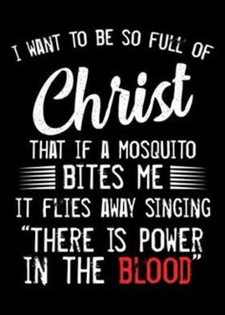 There is power in the Blood!  #christ #fullofchrist #RATravelAdventures #mosquitobites #powerintheblood