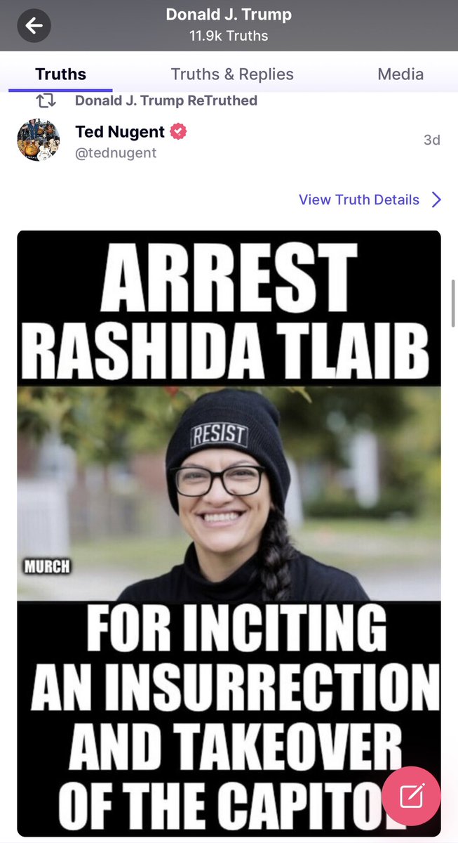 JUST IN: President Trump just reposted an image posted by @TedNugent on #TruthSocial calling for the ARREST of @rashidatlaib, the jihadist member of Congress who incited a pro-HAMAS insurrection inside the US Capitol last week. When will @HouseGOP move to CENSURE Rashida Tlaib?