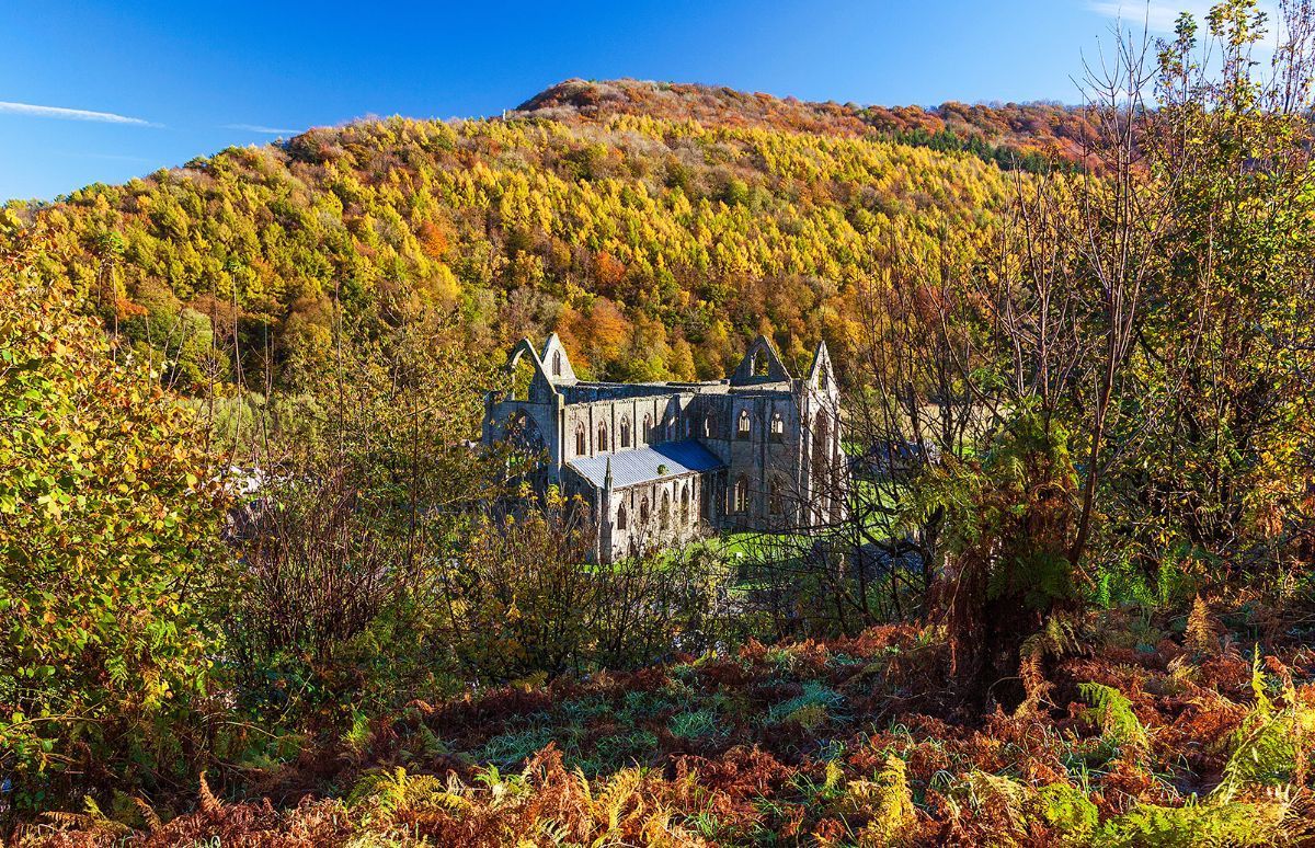 We love October here in the office, based in the beautiful village of Tintern, with the spectacular colours of The Wye Valley all around us. 

#tintern #wyevalley