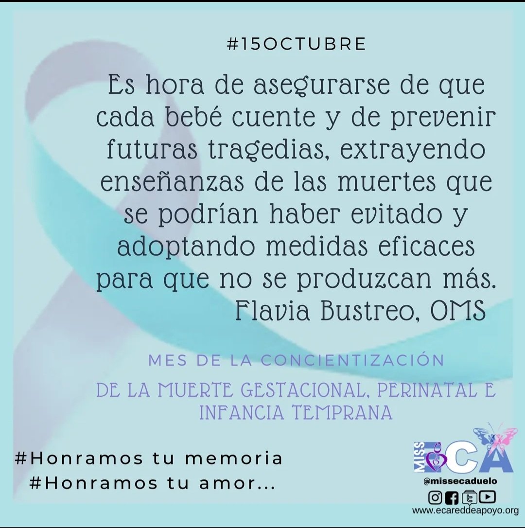 missecaduelo's tweet photo. #HonramosTuAmor #HonramosTuMemoria
#MISSEcaTeAbriga
#Oct15 #Octubre #Conmemoración #MuerteGestacional #MuertePerinatal #muerteneonatal https://t.co/3S8LS8MRH3