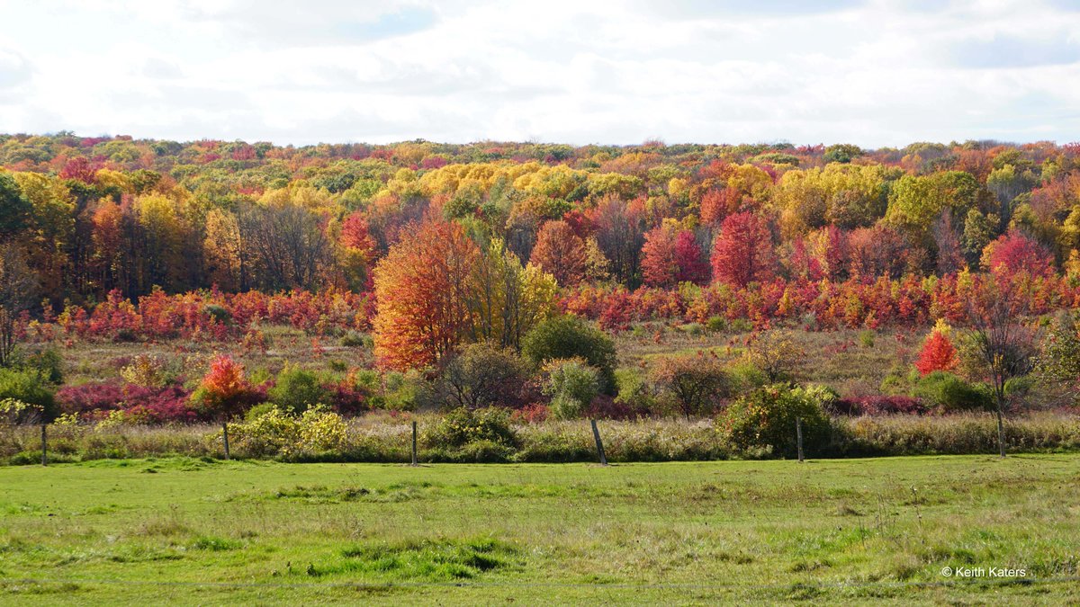 KeithKaters's tweet photo. The fall colors around Dane, Iowa and Sauk Counties, Wis have been spectacular lately. These photos are from the last several days. @travelwi #travelwi #discoverwisconsin #fallcolors #wiwx #wisstateparks #devilslakestatepark #bluemounds https://t.co/OOWw6R6h5r