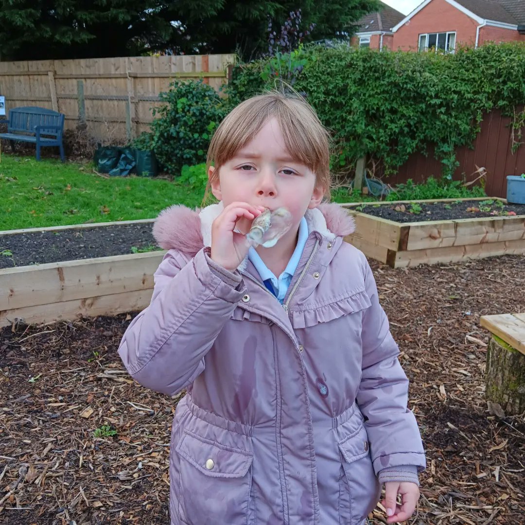 NIForestSchool's tweet image. What a lovely morning of Forest School Training with P2&apos;s at @KnockbredaPS.They looked at #camouflage and played birds and worms. After break, we used #hacksaws and made #bubble wands out of elder.
Thank you @belfastcc for funding the Forest School programme.
#nifsa