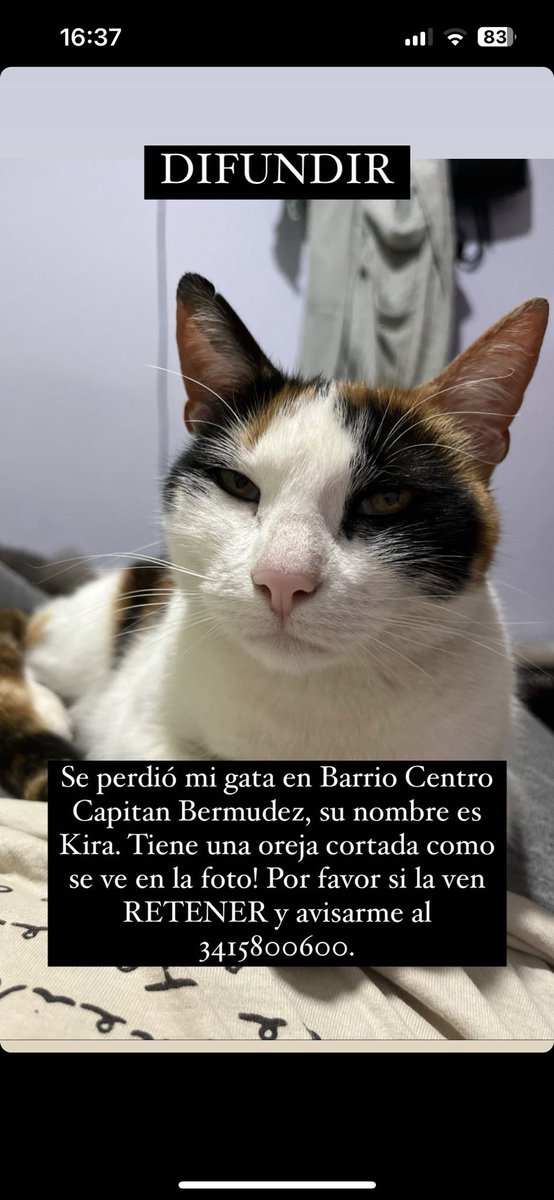 Meeri_Astesiano's tweet photo. Por favor ayudenme a encontrarla😔 https://t.co/Rl7mOBV4rO