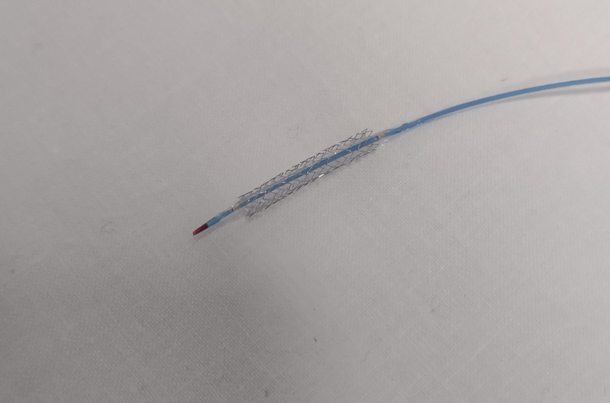 AliceCathLabRN's tweet photo. Spent the morning working through the different consultant preferences for LHCs/PCIs. Still blows my mind that these tiny stents get deployed in coronary arteries to restore & maintain blood flow 🤯🤩
#StNs if you haven't experienced #cathlab, get there ASAP 🤩 https://t.co/ICtCW35oRE