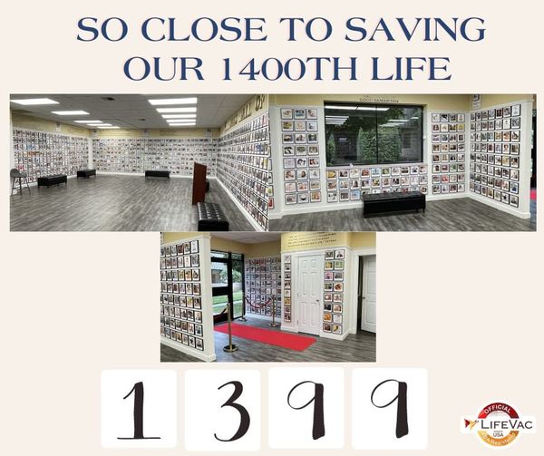 LifeVacCanada's tweet photo. With 1399 lives saved and counting the impact of our mission is truly incredible! We look forward to sharing news of our 1400th life saved! #changetheworld #LifeVac #rescuedevice #savealife #chokingprevention #ChokingAwareness #bechokeaware https://t.co/hLVQWpmflV