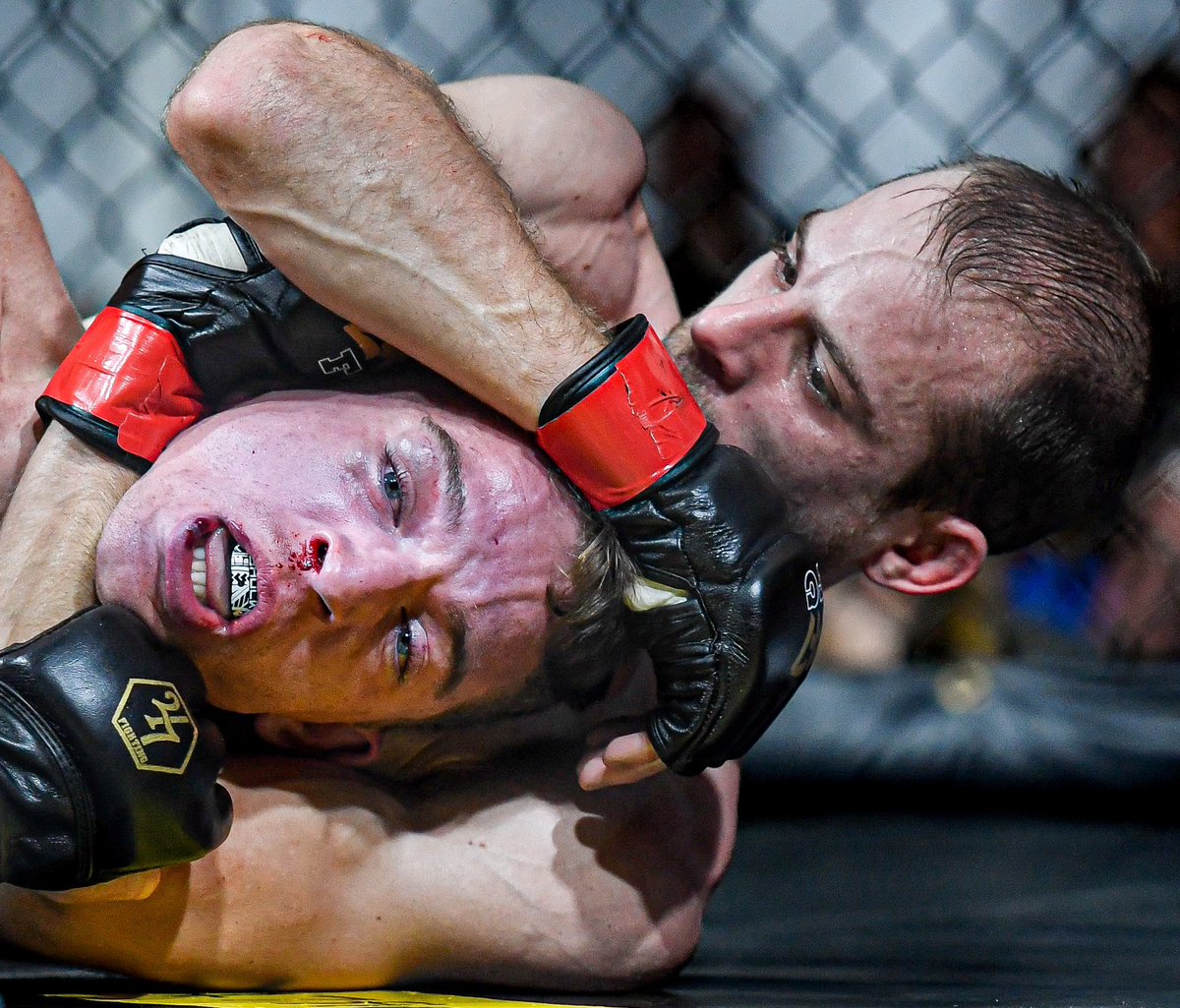 AndrewPallaPGH's tweet photo. Fighters compete in “Brawl In The Burgh 18” presented by @247Fighting on Saturday, October 21, 2023, at the Hollywood Casino at The Meadows. #BITB18 https://t.co/Fpo5WUJ5oI