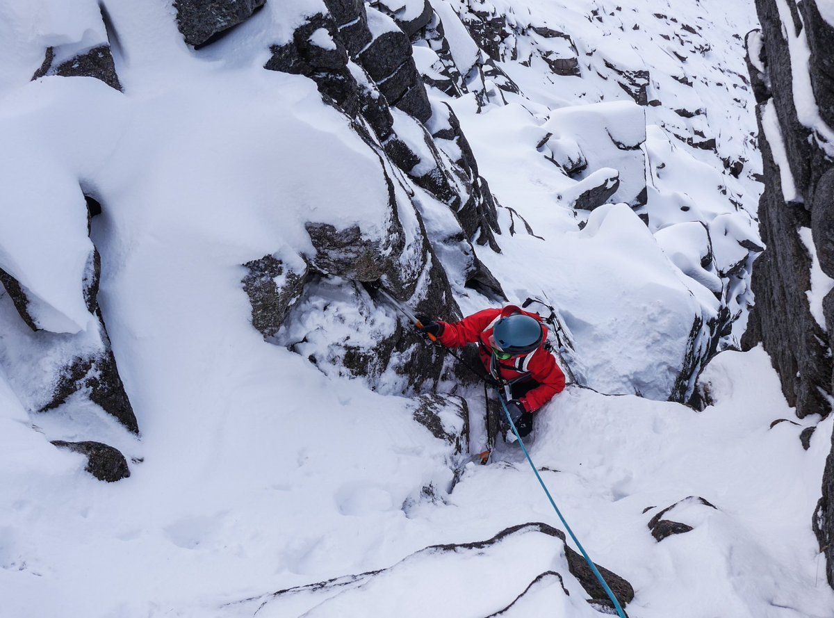 James Thacker tweet media