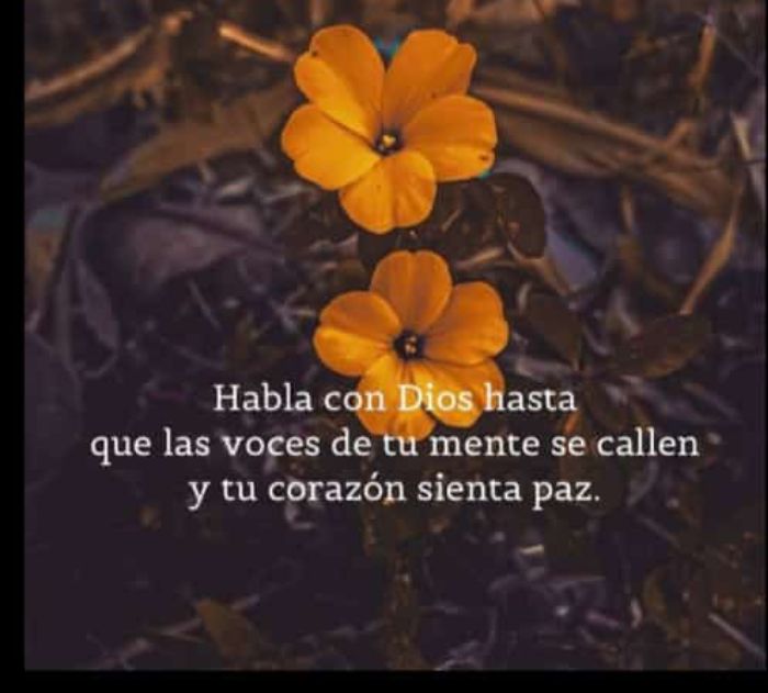 Mayra (@mayrapri21) on Twitter photo Feliz y linda tarde para todos
# ElEsequivoEsVenezolano
<a href="/jmhgomez1/">@Jmhgomez</a> <a href="/Clauditavolvio/">🌴💦 Claudia 💦🌴</a> <a href="/EGMorenoR/">Esio Moreno</a> <a href="/Neyda21708001/">Neyda</a> <a href="/neyla_mt/">🌹🌹 Auxiliadora 🌹🌹</a> <a href="/maria_buitriago/">Maria Buitriago</a> <a href="/Valeria_GR76/">🌹 Valeria 🌹</a> <a href="/azubarbeba2/">Azubar Dudamel</a> <a href="/AveFeliz11/">Mary J.</a> Feliz y linda tarde para todos
# ElEsequivoEsVenezolano
<a href="/jmhgomez1/">@Jmhgomez</a> <a href="/Clauditavolvio/">🌴💦 Claudia 💦🌴</a> <a href="/EGMorenoR/">Esio Moreno</a> <a href="/Neyda21708001/">Neyda</a> <a href="/neyla_mt/">🌹🌹 Auxiliadora 🌹🌹</a> <a href="/maria_buitriago/">Maria Buitriago</a> <a href="/Valeria_GR76/">🌹 Valeria 🌹</a> <a href="/azubarbeba2/">Azubar Dudamel</a> <a href="/AveFeliz11/">Mary J.</a>