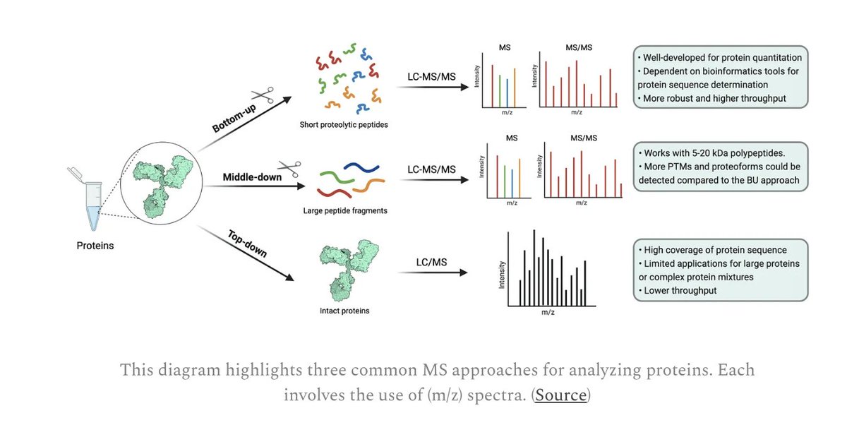 SimonDBarnett's tweet image. 7/n 
While powerful for transcriptomics, #isoform sequencing could supercharge protein detection in a perhaps non-obvious way.   

Mass-spec (MS) involves detecting mass/charge (m/z) spectra as shown below. Though common, bottom-up methods face several challenges.