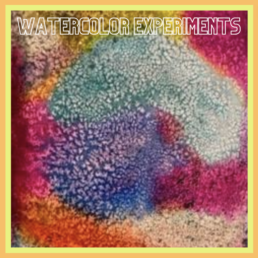 Creative Adventures tweet media