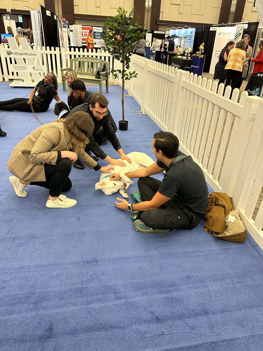 OLTCAnews's tweet image. Attendees at #TiLTC2023 indulging in quality moments with incredibly cute dogs at the @SchlegelVillage dog park. Thank you for bringing such a joyful moment to the conference.