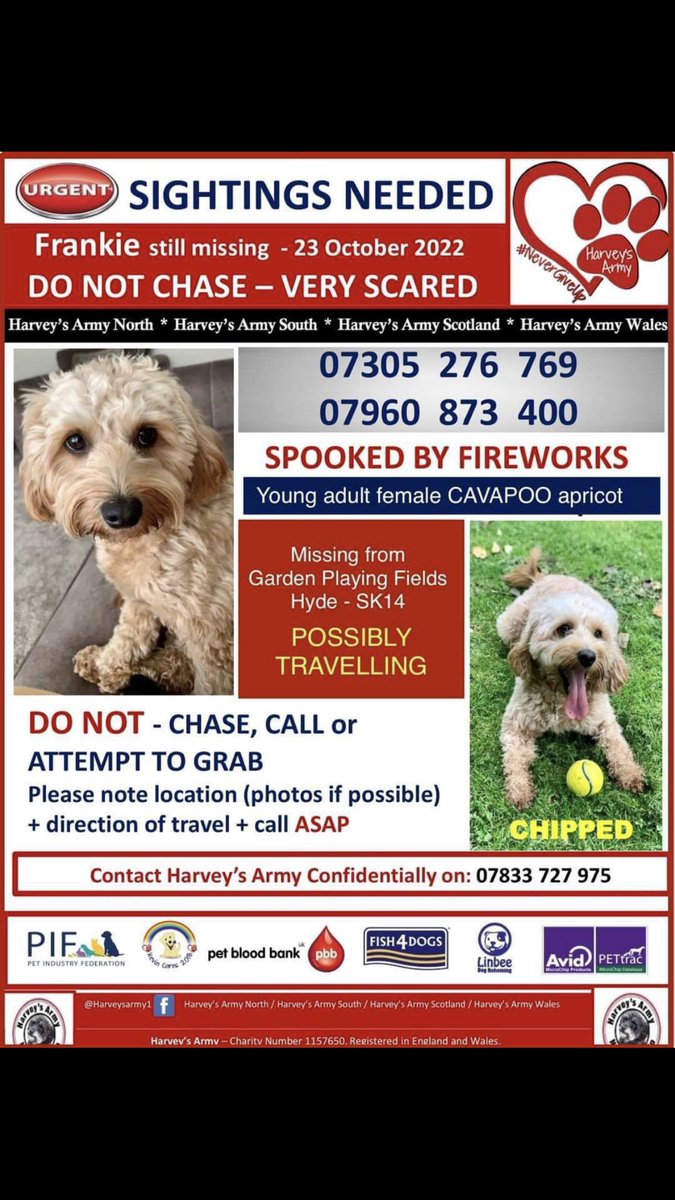 #Fireworks scare dogs they make dogs bolt , or make dangerous decisions. Let’s #findfrankie