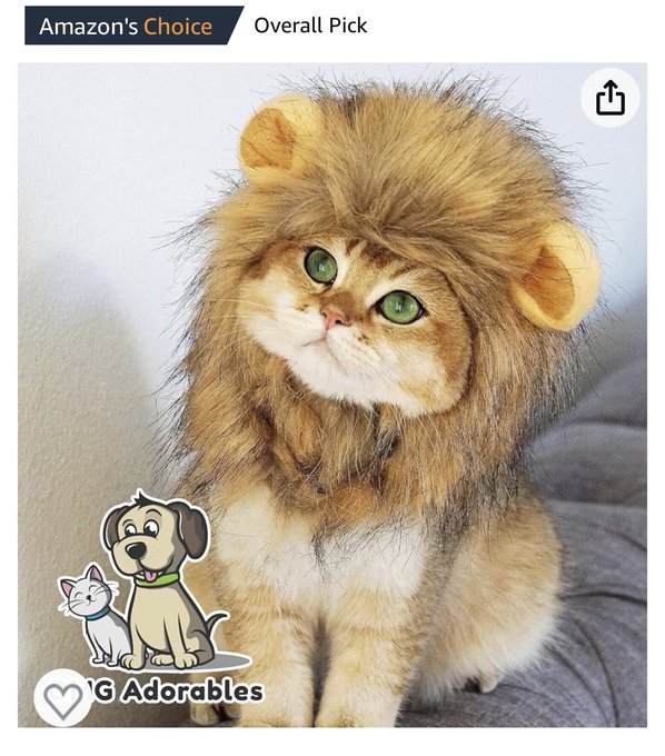 Slightly different request but I have determined it&rsquo;s a necessity: which sub is going to fund this for