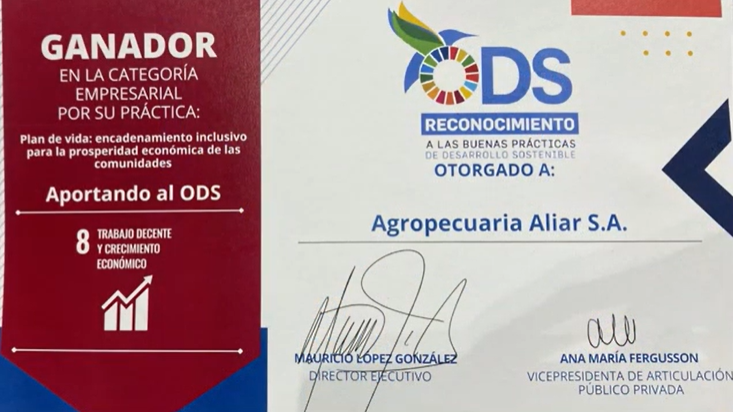 aliaragro's tweet photo. @pactocolombia @aliaragro @pervivir: Estamos felices de compartir con todos nuestros aliados, el reconocimiento que nos ha otorgado @pactocolombia y @camaracomerbog  por nuestro programa #PlanDeVida 🎖️#BuenasPrácticasDeDesarrolloSostenible en la altillanura colombiana. https://t.co/aLSg5qvxCM