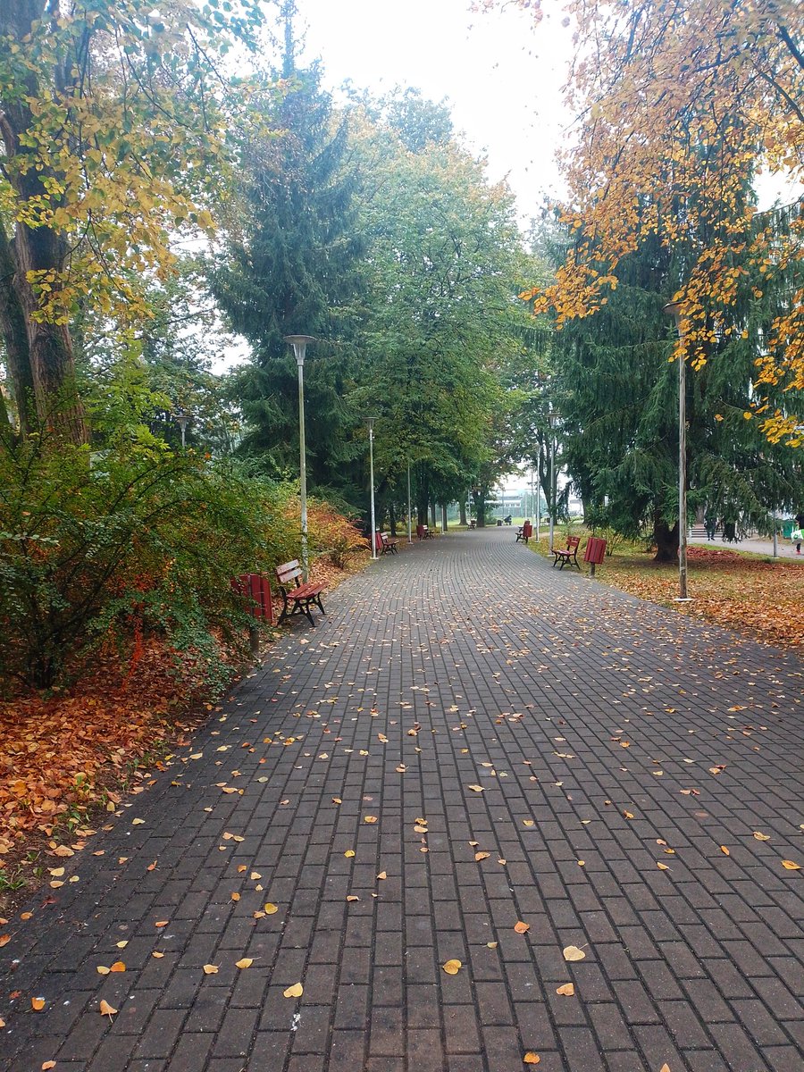 KoyaShifana's tweet image. Officially starting my academic secondment at #UMCS, Poland, as part of #SWATNetProject. The campus is stunning in its fall season! Wish me luck; exciting #CME and #spaceweather results are on the horizon. 🍁📚 #phdjourney