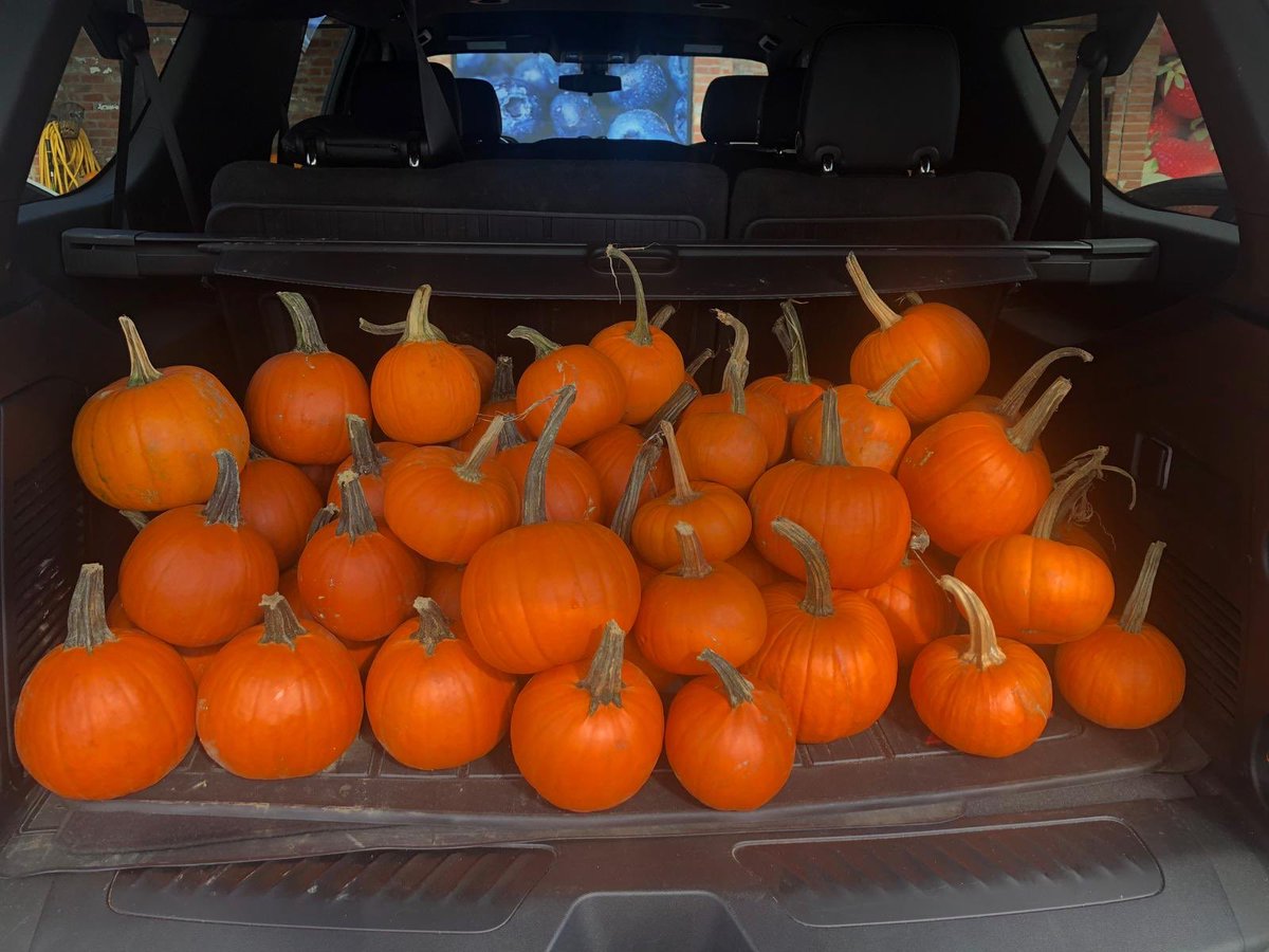 Thank you to <a href="/GardenFoodsMkt/">Garden Foods, Bolton</a> for the donation of pumpkins for our kindergarten classes! We appreciate your generous support for our excited young learners!