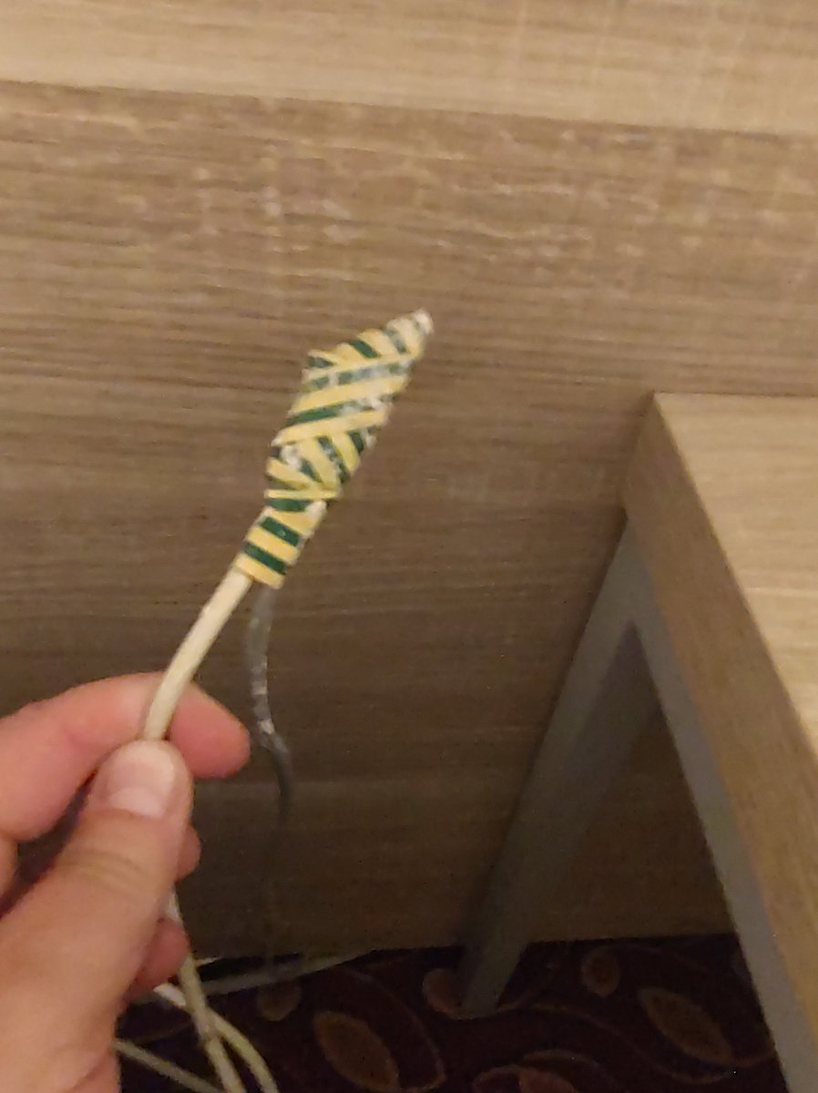 webb_by_name's tweet photo. Hey @LegerHolidays just arrived at the Hotel Otelinn in Caen, I suspect none of you have checked out this hotel! It's disgusting, I don't know where this writing under my bed would be legal, and this is only the start! Not to come. https://t.co/nZVERFf0e6