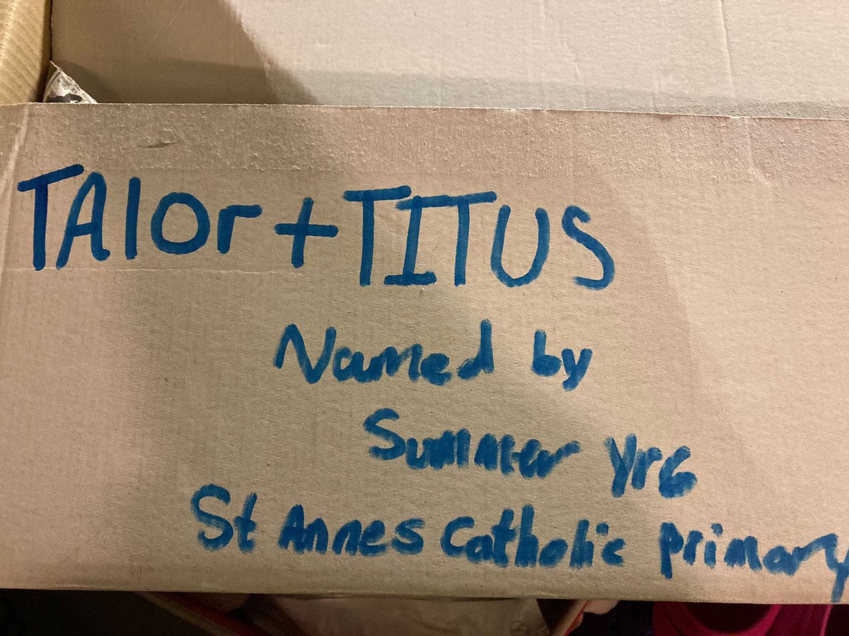 St Anne's Catholic Primary tweet media