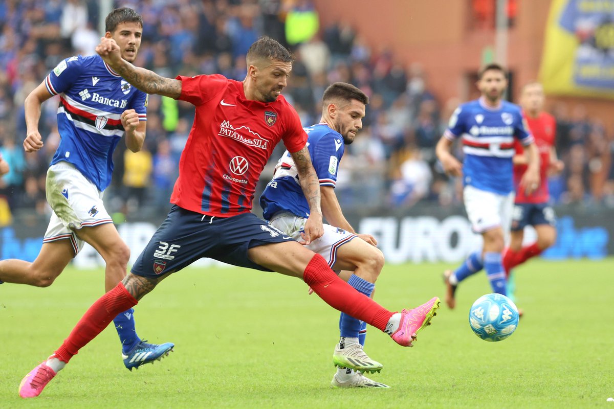 CosenzaOfficial's tweet photo. Sampdoria-Cosenza in archivio 📸
Spezia-Cosenza 🔜
🐺♥️💙
#ForzaLupi #SPECOS https://t.co/RhP57rjydx
