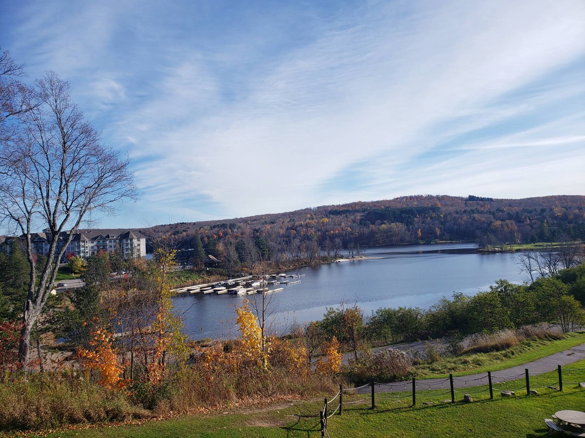 MISAOntario's tweet image. Fall vibes at #InfoSec2023 😍