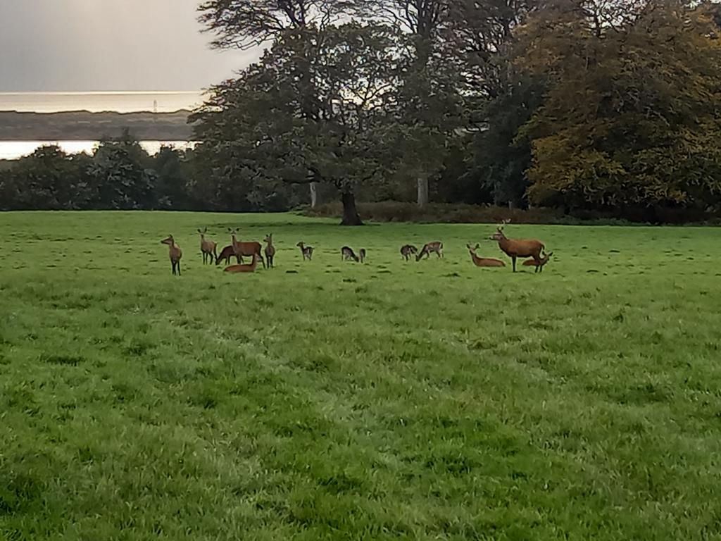 Mark Pedler tweet media