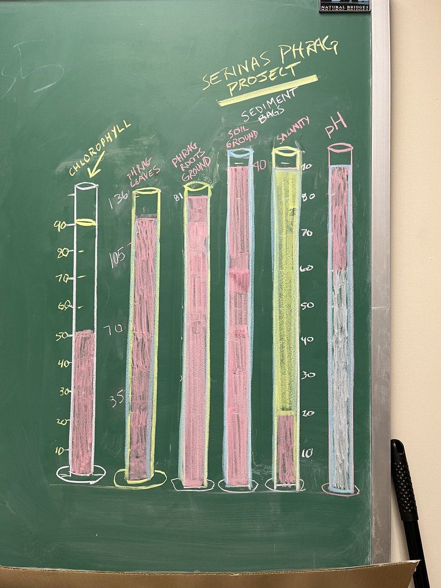 Salty_Serina's tweet image. This is how we stay motivated to process seemingly endless amounts of samples. So close to rounding out this dataset! 

#labwork #phragmites