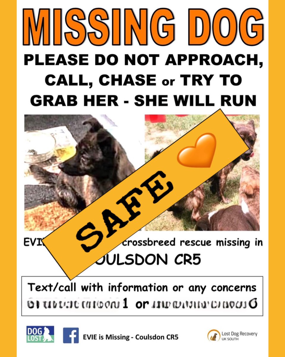 RecoveryDog's tweet photo. #GoodNews tonight ๐
Little Evie safely trapped ๐
She had escaped her foster home in #Coulsdon #Croyden #Surrey but is safe after 3 scary nights out ๐
STAY SAFE EVIE ๐งก
#rescuedog #SAFE https://t.co/P7zDUHTGxN