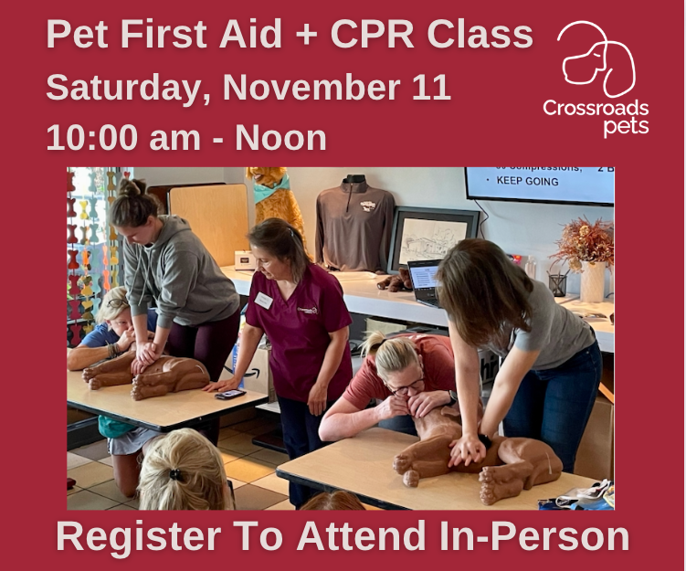 In-person event designed to equip dog and cat parents, pet sitters and other pet professionals with essential skills and knowledge to handle emergencies. 

Limited spots are available, so reserve your seat now!
ow.ly/cSS650PZUCM