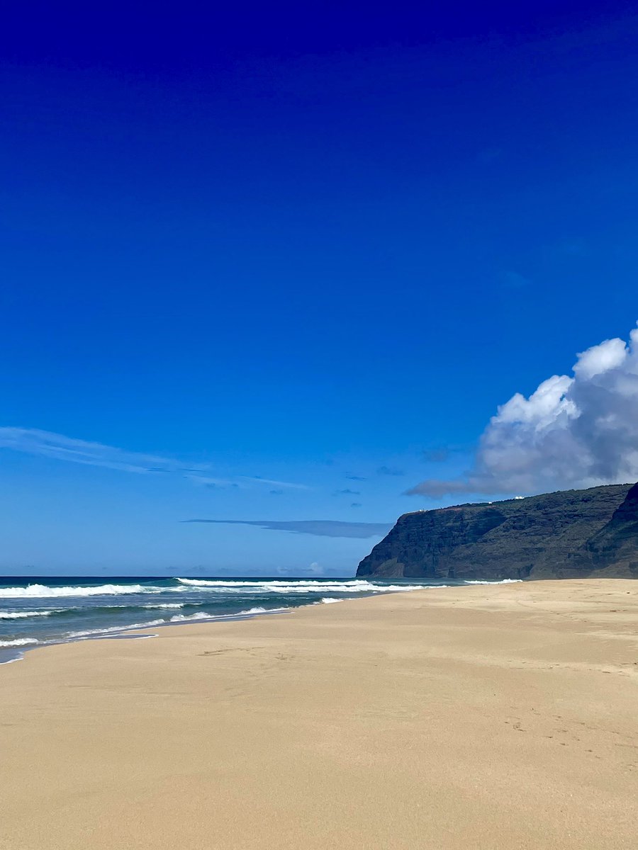 RogerNeukom's tweet photo. #kauai #sonne #meer #ferien #fun #hawaii #natur #nationalparks #sand #wellen https://t.co/m9f7ecjEs3