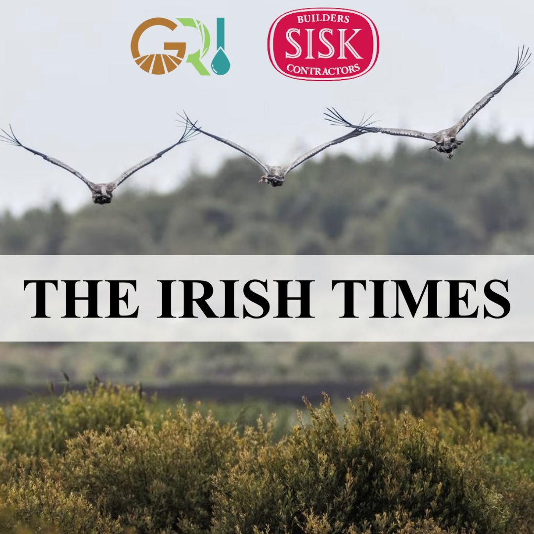 🔔 We're in @IrishTimes 🔔 Thank you @TheIrishTim and The Irish Times for showcasing our work with @JohnSiskandSon ! Read the Article Here: lnkd.in/ePdDwVHY ! 🌱 Photograph: @INPHOjames #WeAreSisk #Sustainability #Peatlands #GreenRestorationIreland #sustainability