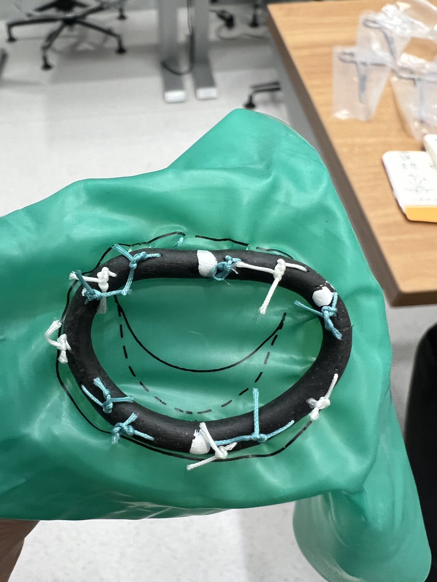 WCM_CTSurgery's tweet photo. Thank you all who participated in another successful Mitral Valve Course on a wet Saturday morning! 

#CTsurgeryTraining #CTSurgeryResidency #MitralValve https://t.co/khNOdgDtbs