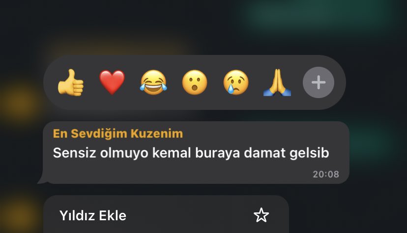 *En sevdiğim kuzenimden bir yeni mesaj*