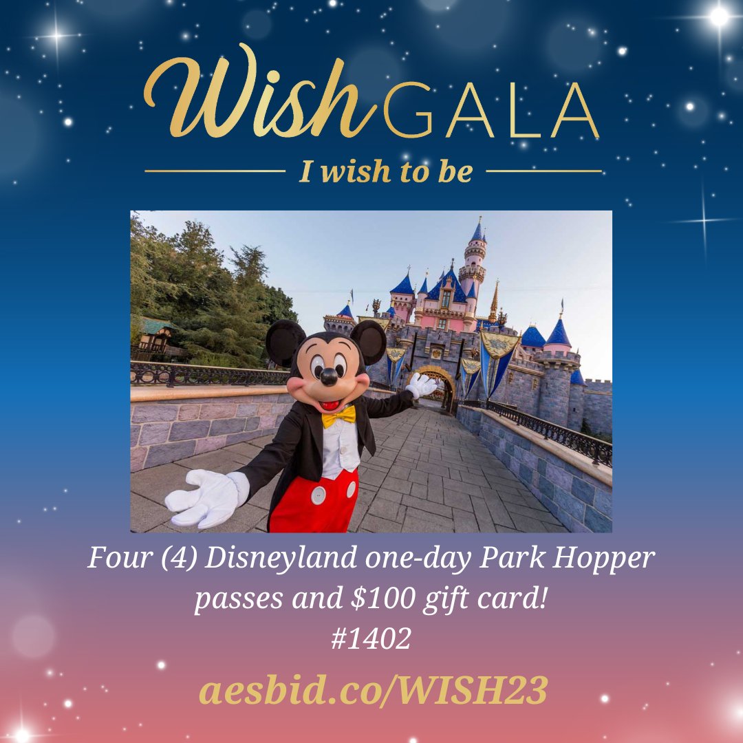 Our silent auction is now live! Visit our site at aesbid.co/WISH23 to bid on unique experiences and items in support of our local wish kids. The auction will close on Saturday, October 28th at 8 PM. 💙 #WishGala2023 #MakeAWishLA