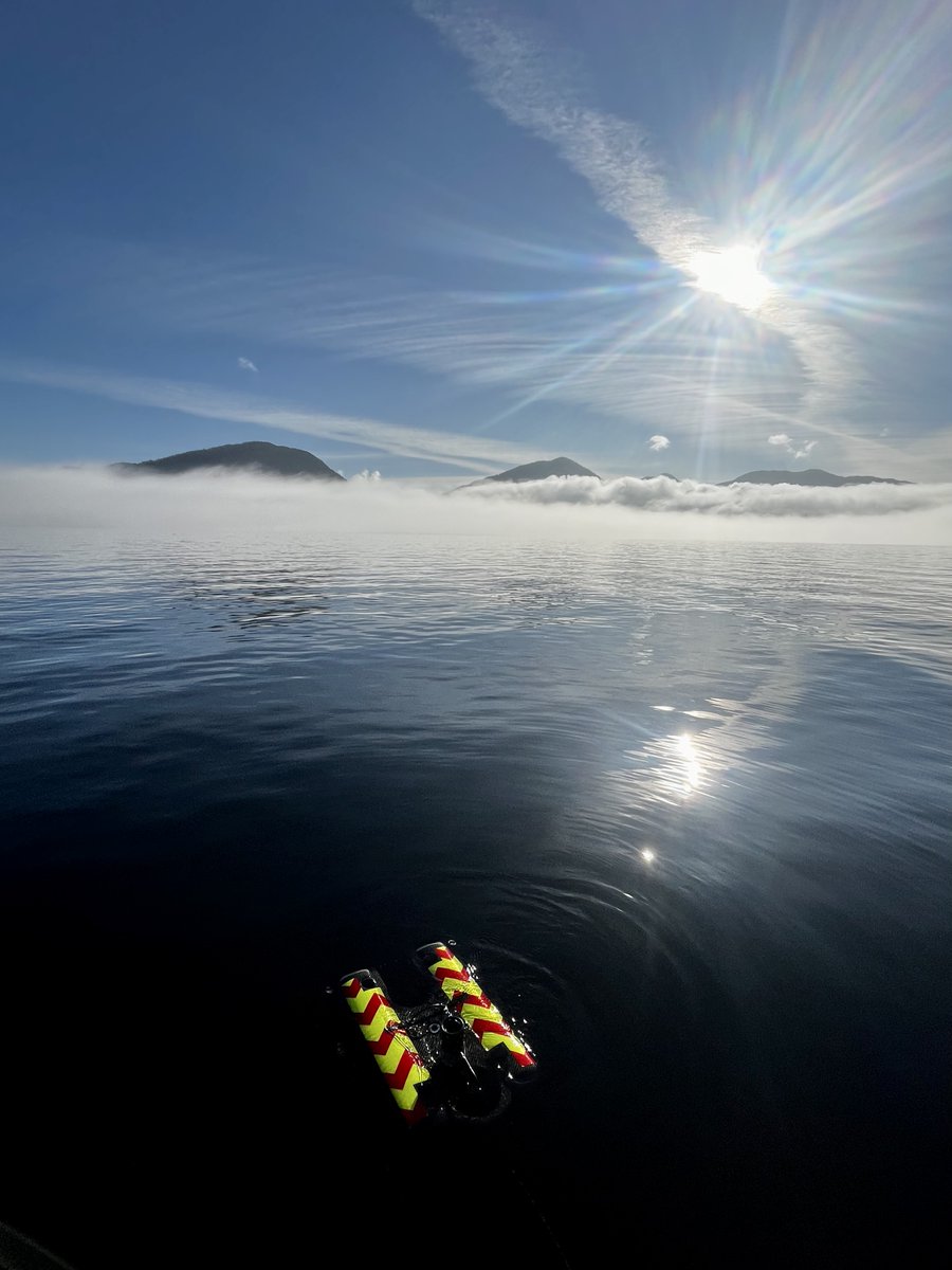 SFU Biological Sciences tweet media