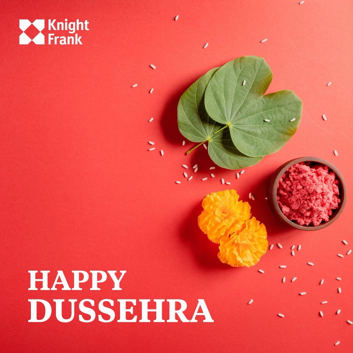 deben moza (@debenmoza) on Twitter photo 