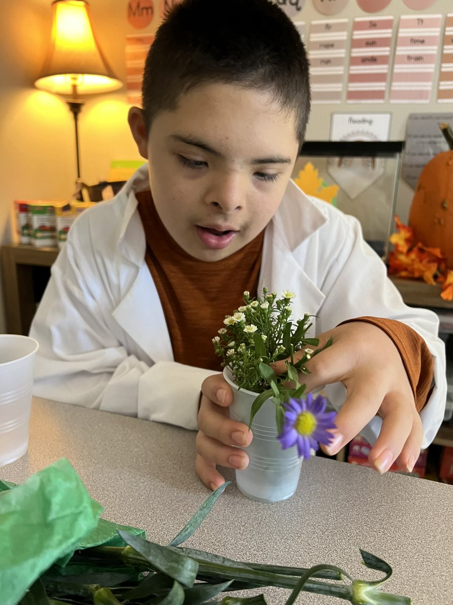 elaina_aponte's tweet photo. So grateful for a donation of flowers from a generous florist so our students could make floral arrangements for the staff at Elise Middle School. Our Blooming Bearcat Buddies took their job seriously and with pride.
#unityblooms
#loveourschoolcommunity
ππ€ππ€ https://t.co/EwidqEglBQ