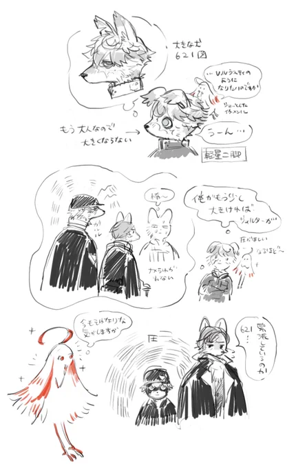 軽二のいぬ6