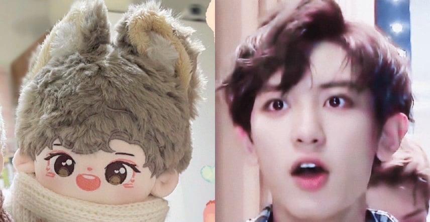 Caecilputri_'s tweet photo. WTS Ready stock INA

TANOC PCY
#Chanyeol EXO
20cm doll only
350k

✔️ req orens + adm
✔️ packing

#cae_ready https://t.co/RSdK8mpbwS