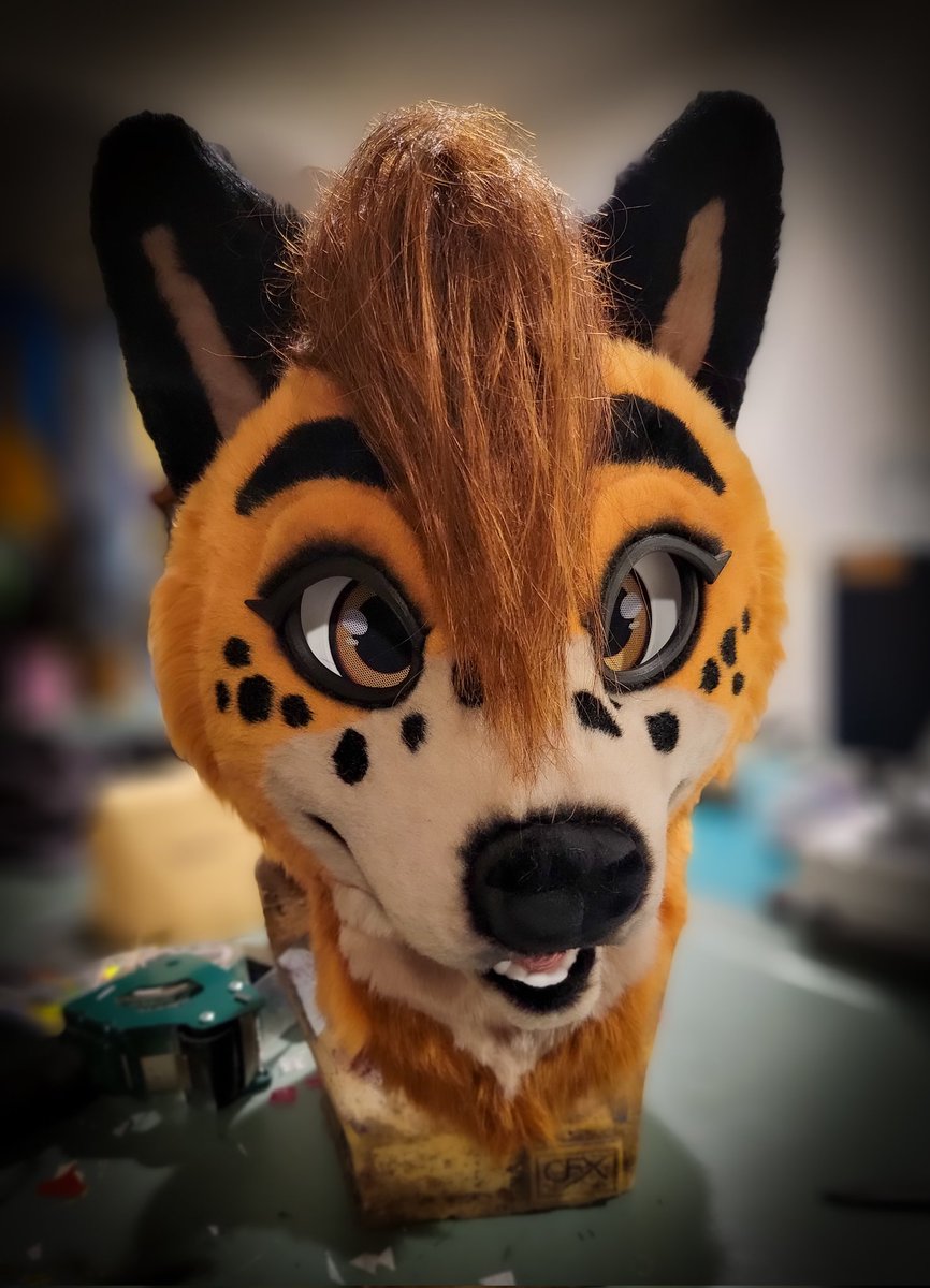 Just look at this cutie! 😍😍😍