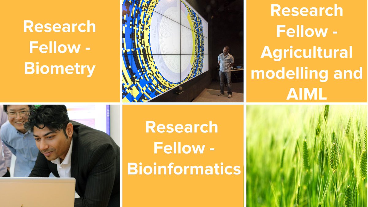 We're hiring!
At CCDM, we're a partner of the brand new Analytics for the Australian Grains Industry (AAGI) program, and we're looking for three research fellows to join our growing team here <a href="/CurtinUni/">Curtin University</a>!
buff.ly/3Shtj33
buff.ly/46G7EWB
buff.ly/3Me1ncn