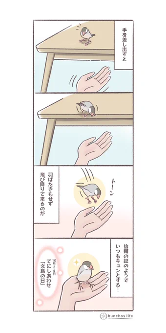 手を差し出すと当たり前のように飛び降りてくる文鳥の信頼感にキュンとする✨てにしあわせ、今日は文鳥の日 #10月24日は文鳥の日 #4コマ漫画