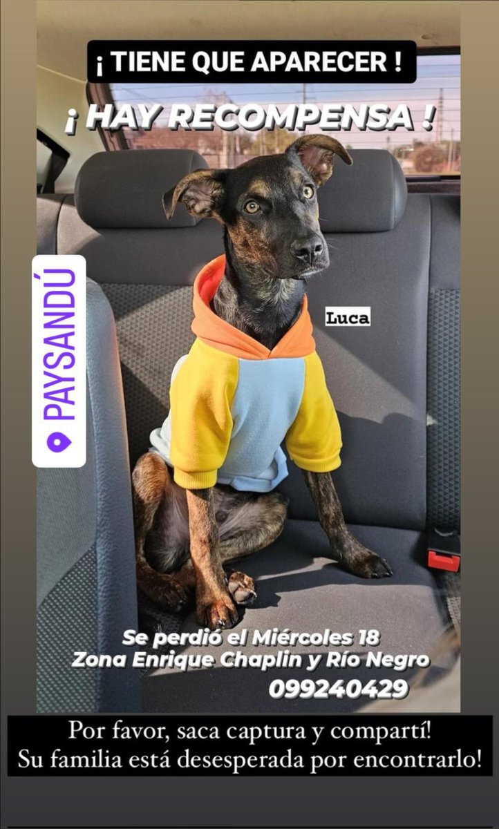 Johana Beltrán (@patascortas_) on Twitter photo 