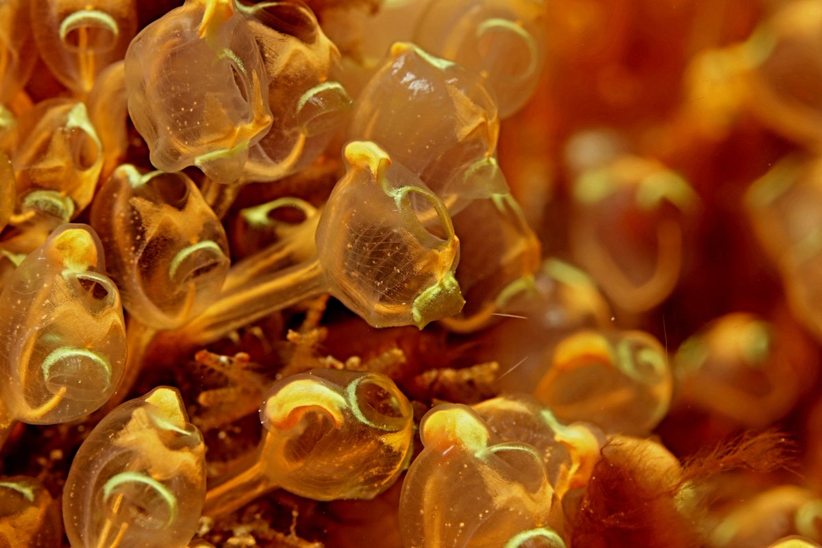 Andre Timmermann (@_darktim) on Twitter photo 