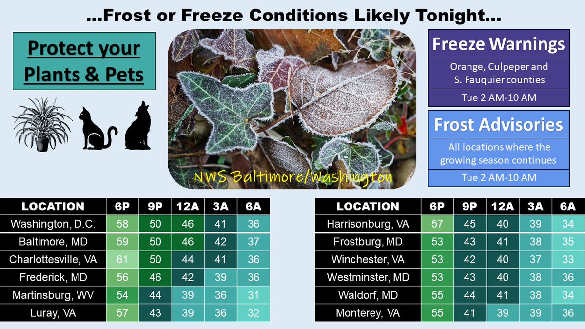 Heading into this evening and overnight, high pressure across the area will lead to rapid cooling underneath clear skies and light winds. Remember Freeze Warnings & Frost Advisories are in place from 2-10 AM. Protect your plants & pets from the cold. #MDwx #VAwx #DCwx #WVwx