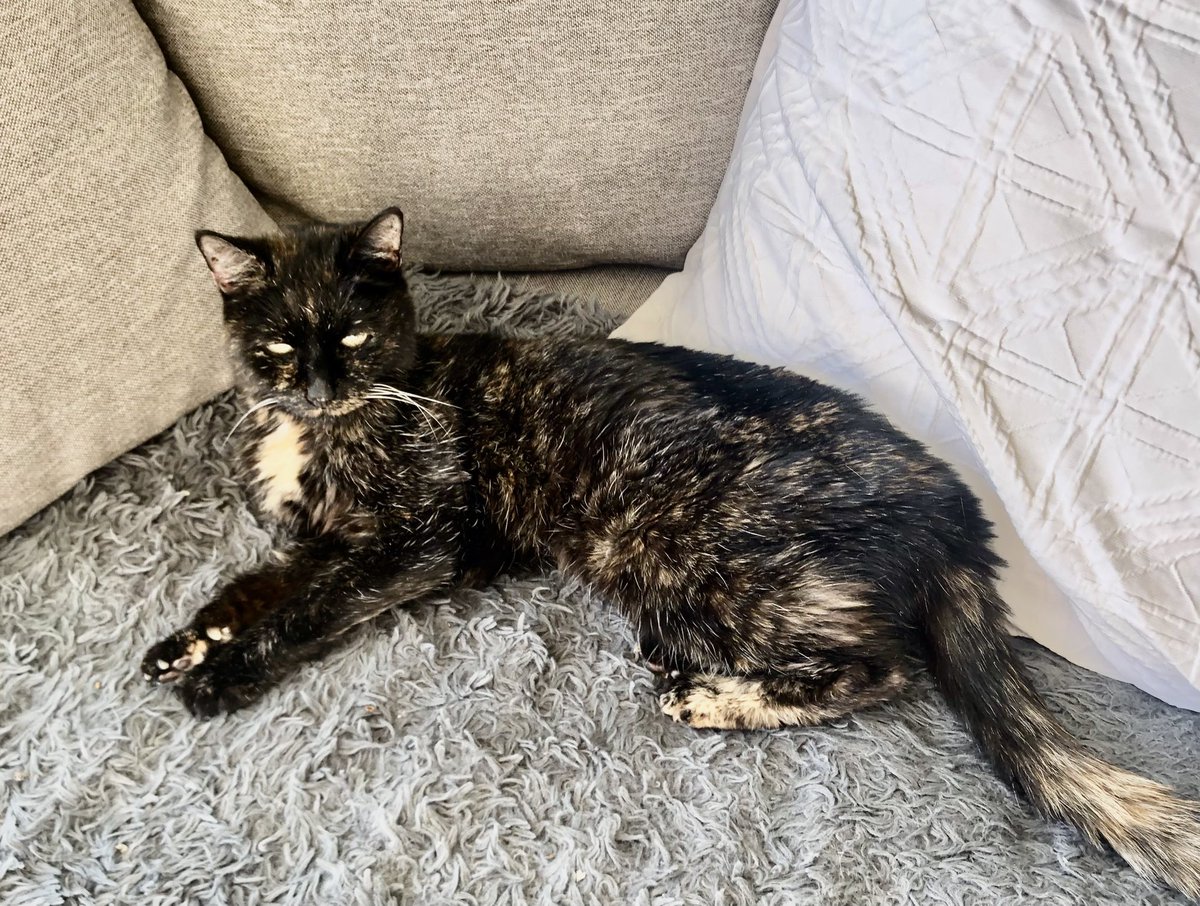 Lois Shuttleworth tweet media