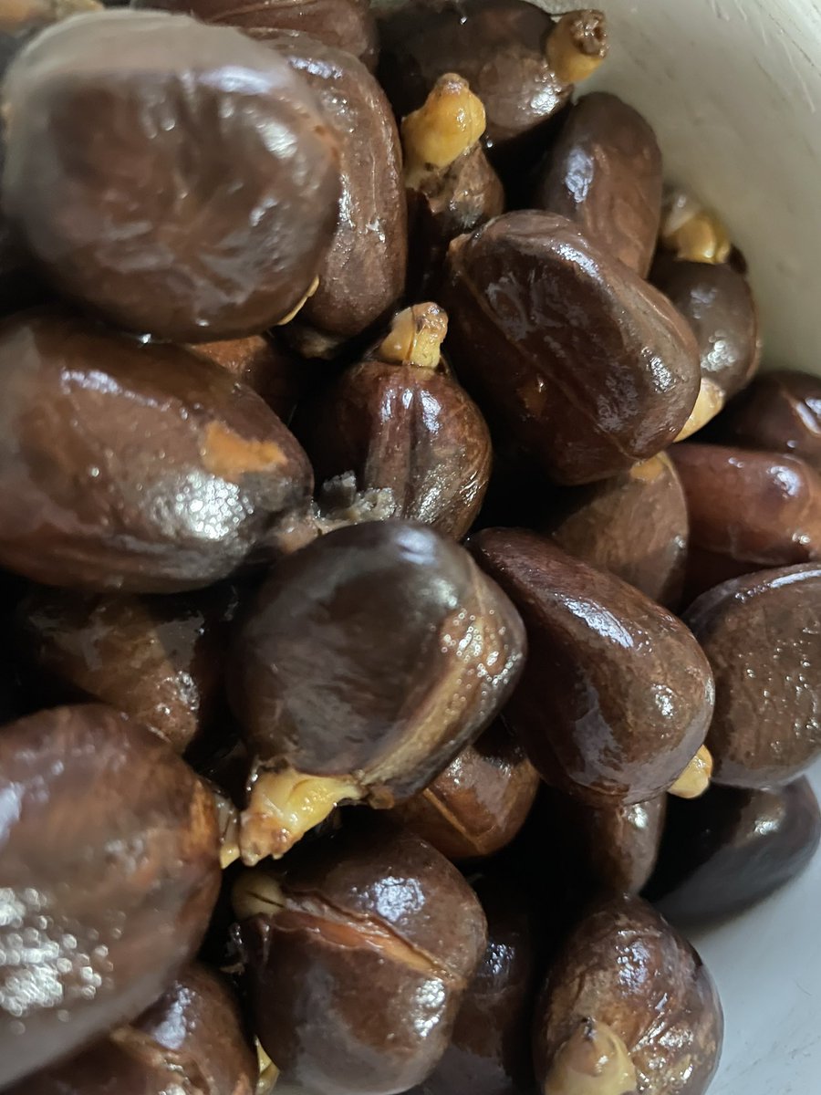 Esto es igual que comerse un viejo por dinero, es más la lucha que coges pelándolo que disfrutando.