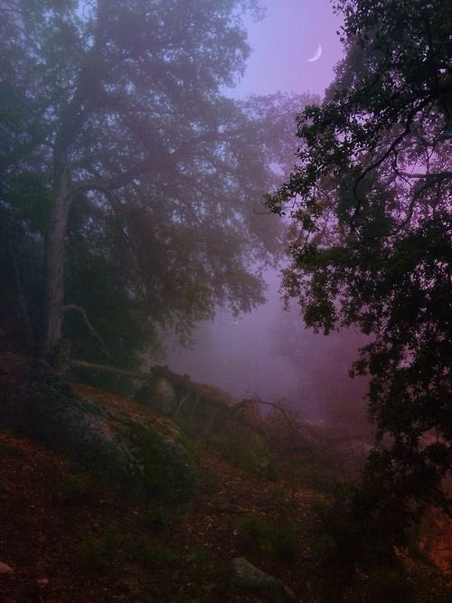 violettweets_'s tweet photo. misty haze. https://t.co/H8xxk8Xd4r