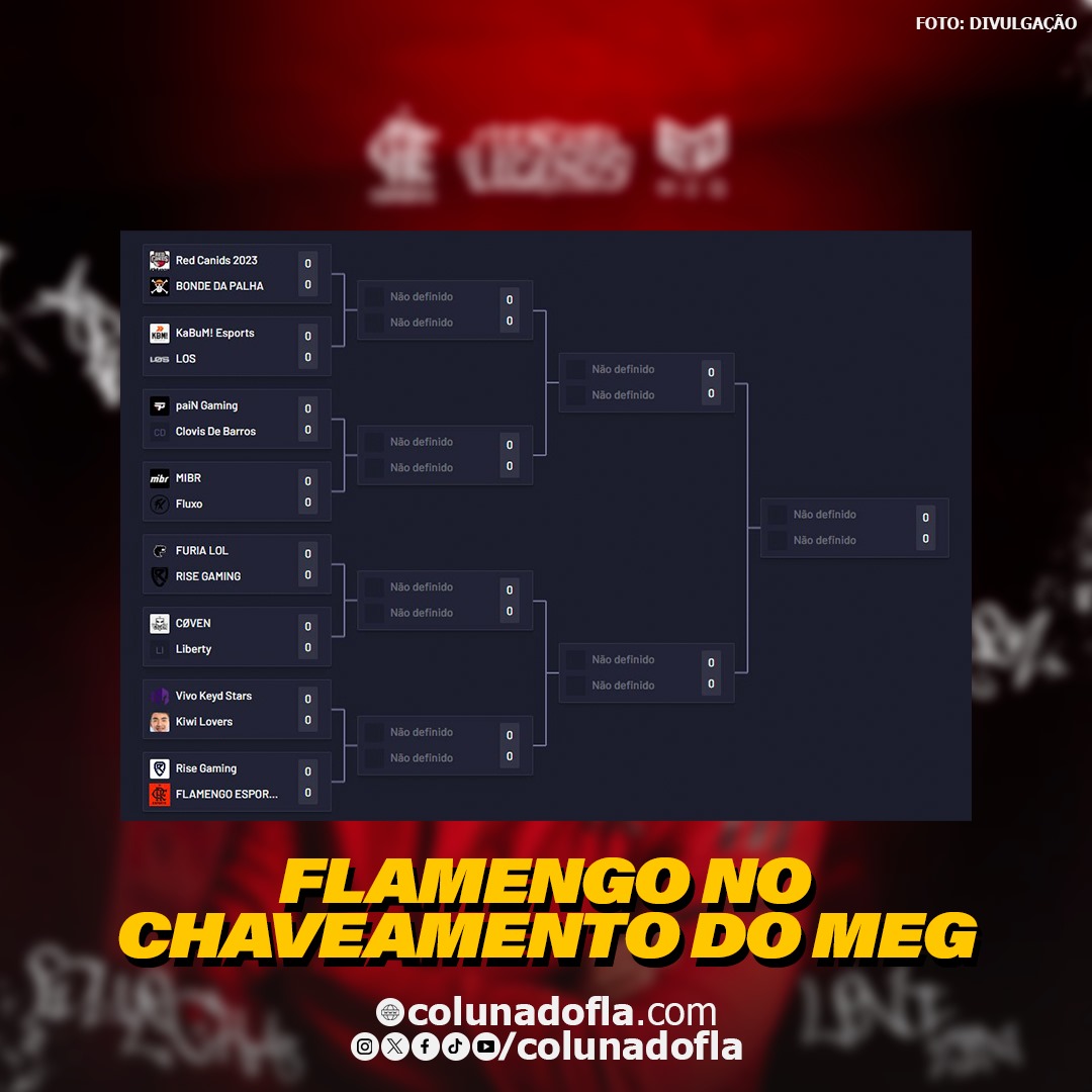 Flamengo Esports (LOL), Software