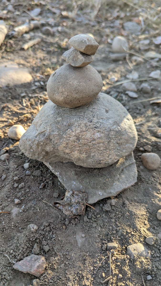 ChelsiJR's tweet photo. Take Me Outside Club is back at @BeaconhillFMPSD! We're excited to welcome 25 friends for the Fall Session starting with nature art and a walk to see our favourite little natural playspace near the school. @GEOEC @GreenSceneFMPSD @takemeoutside https://t.co/LdAWkqvEMT