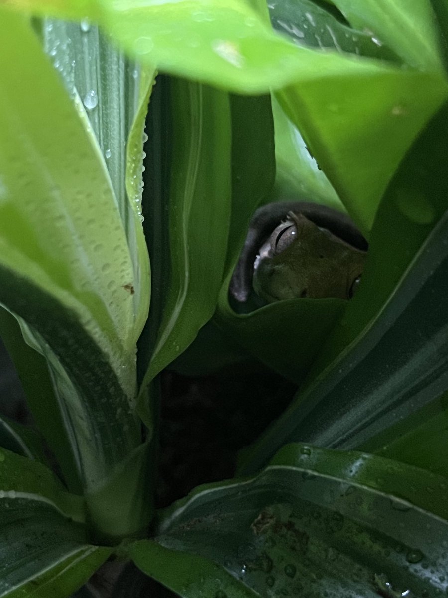 Amanda Wandell tweet media